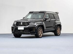 Tank 700 New Energy 2024 Подключаемый гибрид