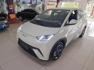 BYD Seagull 2024 Electric