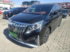 GAC Trumpchi Trumpchi M8 2022 Petrol