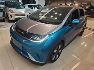 BYD Dolphin 2023 Electric
