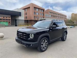 Haval Dargo 2022 Petrol
