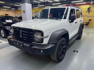 Tank 300 2021 Внедорожник