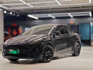 Tesla Model Y 2021 Внедорожник