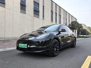 Tesla Model Y 2021 Внедорожник
