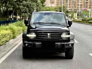 Tank 300 2021 Внедорожник