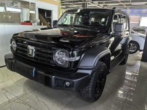 Tank 300 2021 Внедорожник