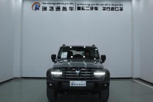 Tank 300 2023 Внедорожник