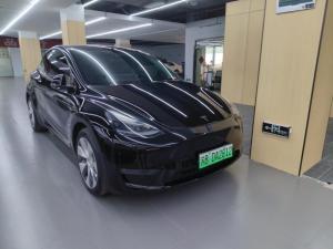 Tesla Model Y 2021 Внедорожник