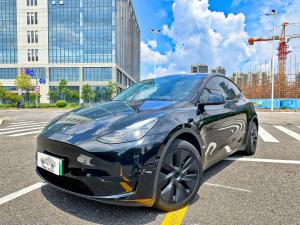 Tesla Model Y 2024 Внедорожник