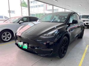 Tesla Model Y 2021 Внедорожник