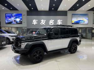 Tank 300 2021 Внедорожник