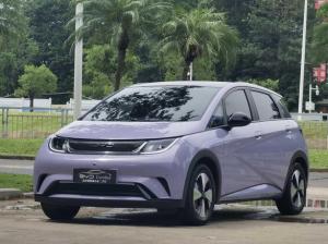 BYD Dolphin 2023 Электрический