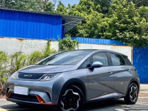 BYD Dolphin 2022 Электрический