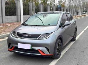 BYD Dolphin 2022 Электрический