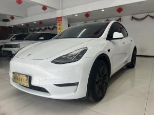 Tesla Model Y 2021 Электрический