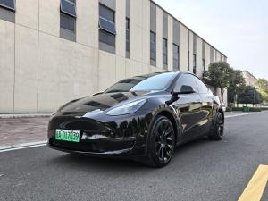 Tesla Model Y 2021 Электрический