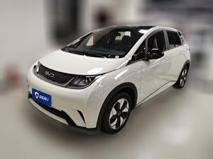 BYD Dolphin 2024 Электрический
