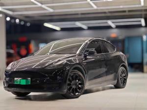 Tesla Model Y 2021 Электрический