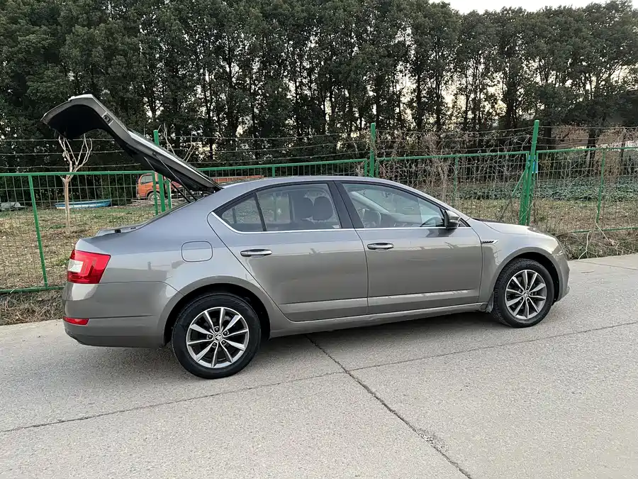 Skoda Octavia 2017 Бензин