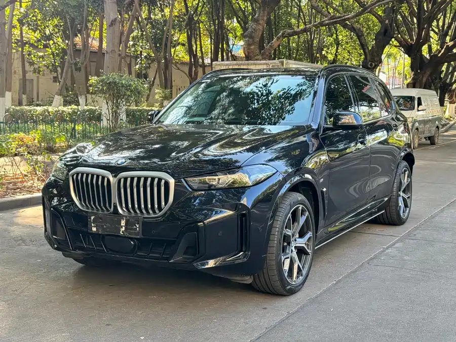 BMW X5 2024 Гибрид