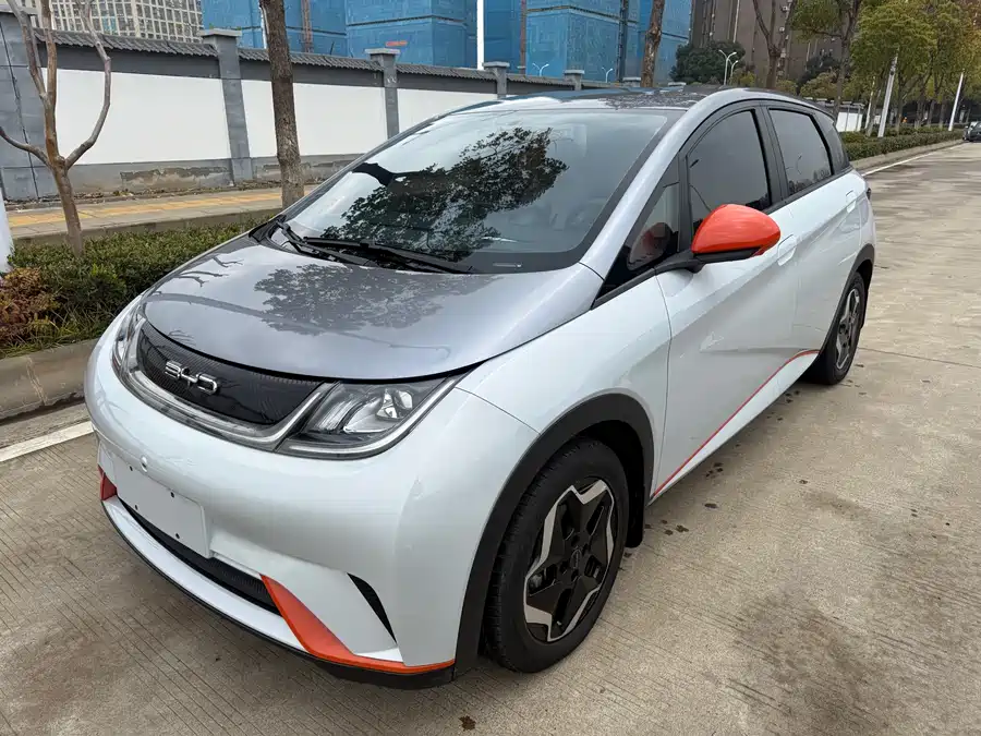 BYD Dolphin 2021 Электрический
