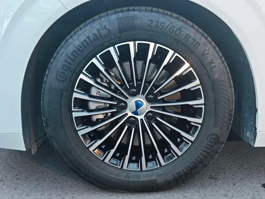 Denza D9 2024 Подключаемый гибрид