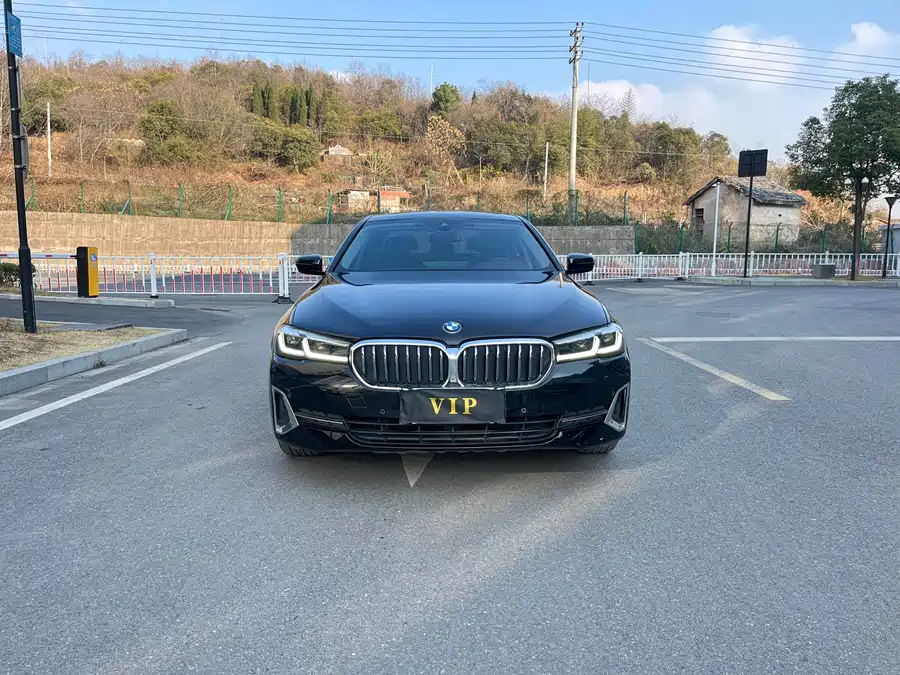 BMW 5 Series 2022 Бензин