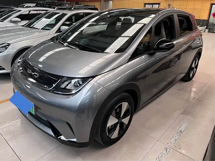 BYD Dolphin 2024 Электрический