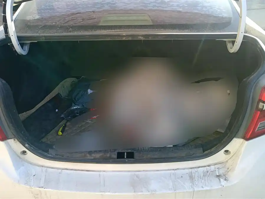 Toyota Vios 2020 Бензин