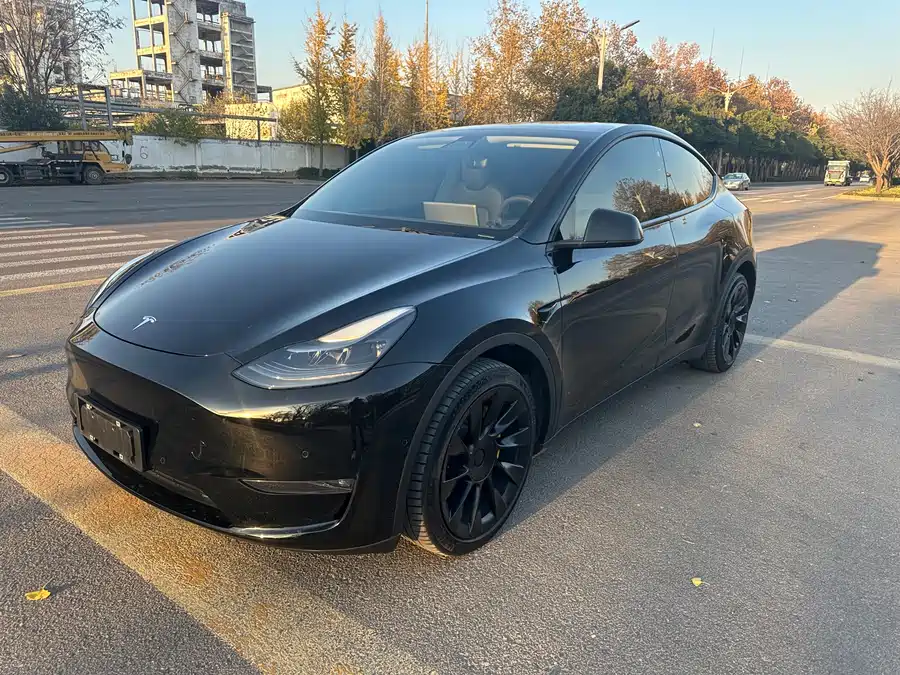 Tesla Model Y 2022 Электрический