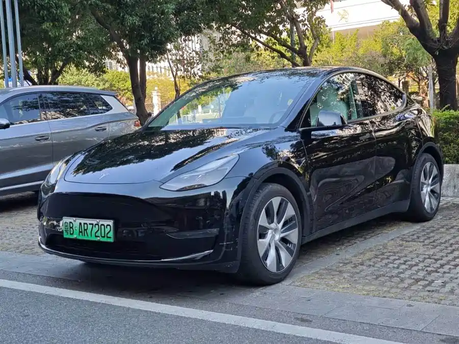 Tesla Model Y 2021 Электрический