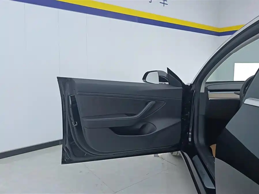 Tesla Model 3 2020 Электрический