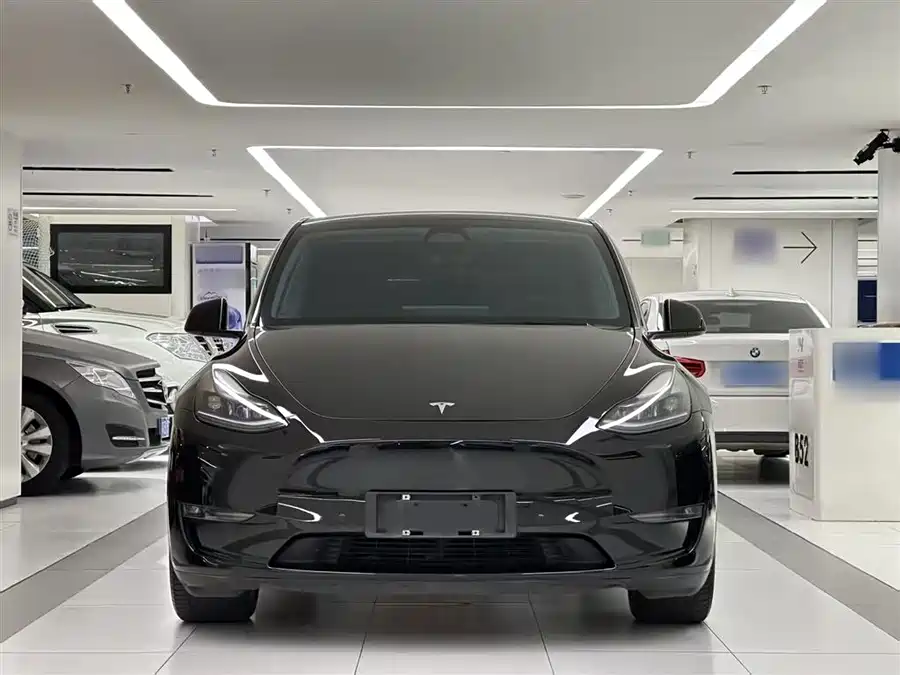 Tesla Model Y 2021 Электрический