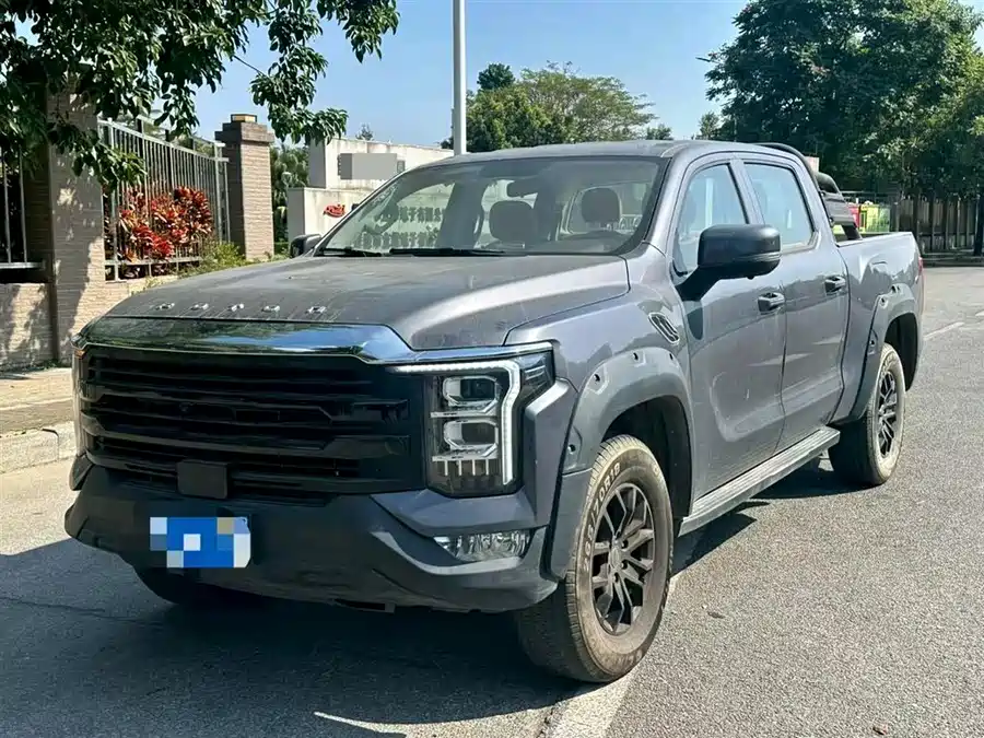 Foton  2024 Гибрид