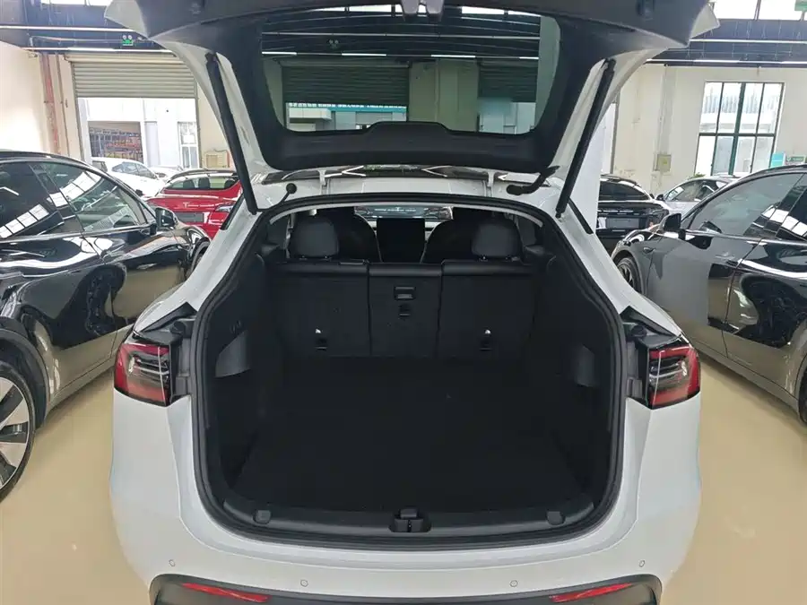 Tesla Model Y 2021 Электрический