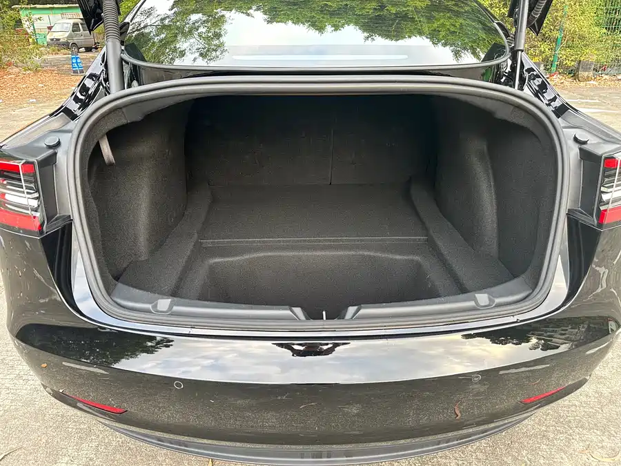 Tesla Model 3 2021 Электрический