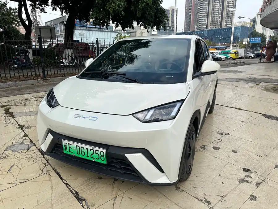 BYD Seagull 2024 Электрический