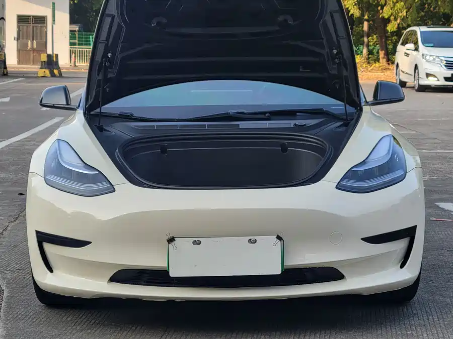 Tesla Model 3 2020 Электрический