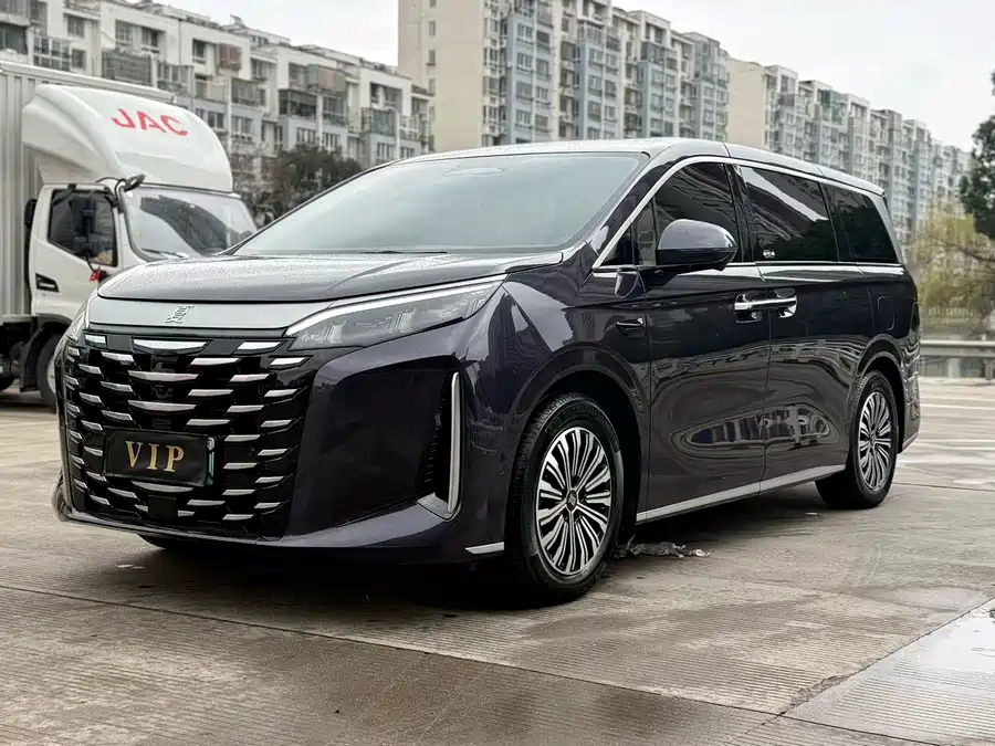 BYD XIA 2025 Подключаемый гибрид
