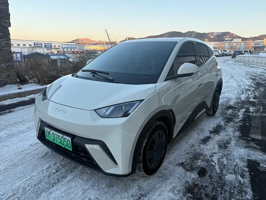 BYD Seagull 2025 Электрический
