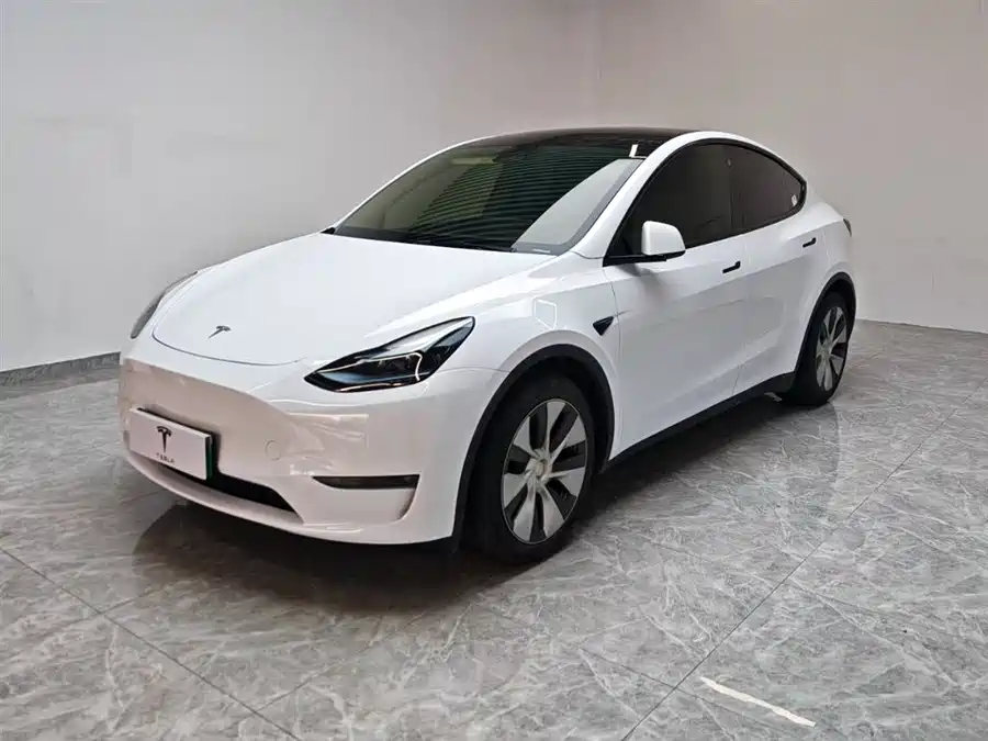 Tesla Model Y 2021 Электрический