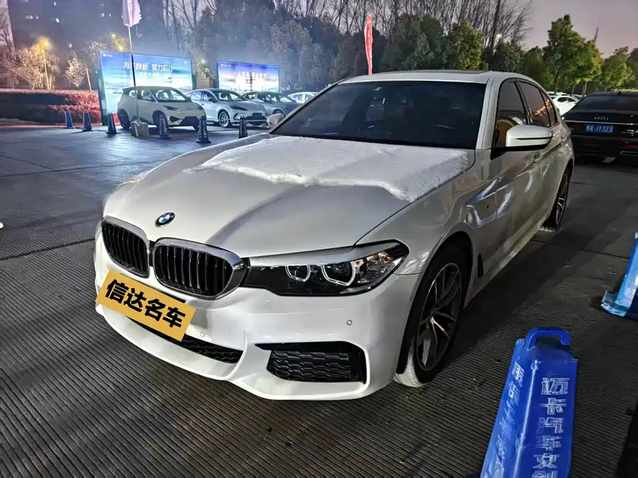 BMW 5 Series 2019 Бензин