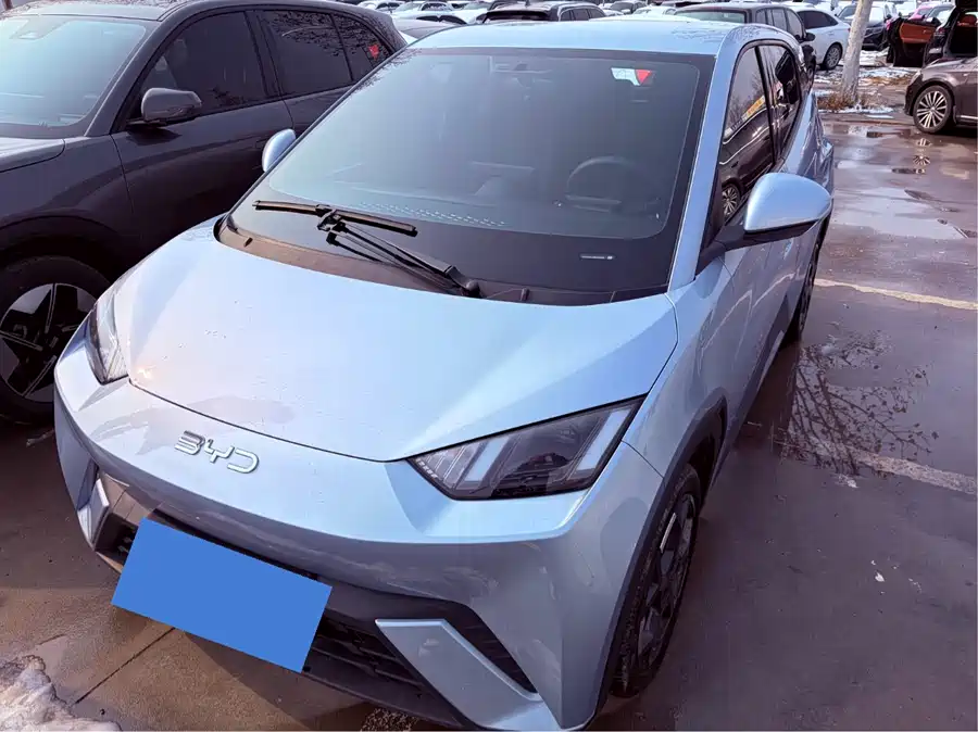 BYD Seagull 2024 Электрический