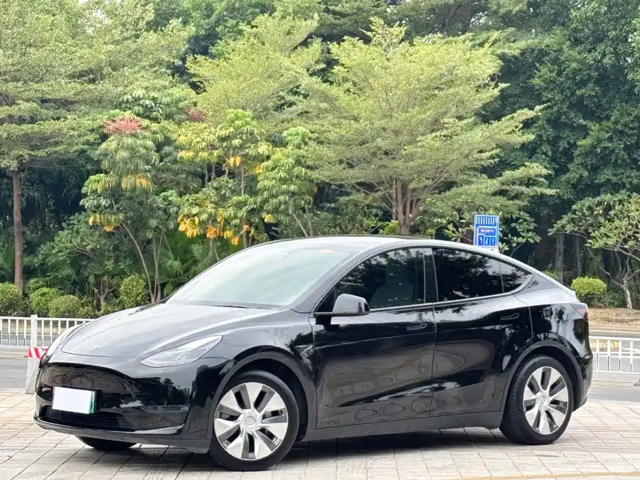 Tesla Model Y 2021 Электрический