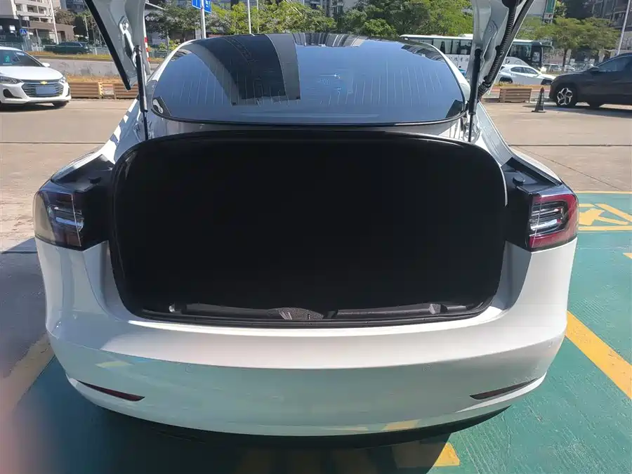 Tesla Model 3 2020 Электрический