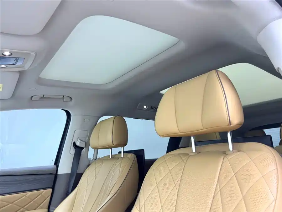 Denza D9 2023 Подключаемый гибрид