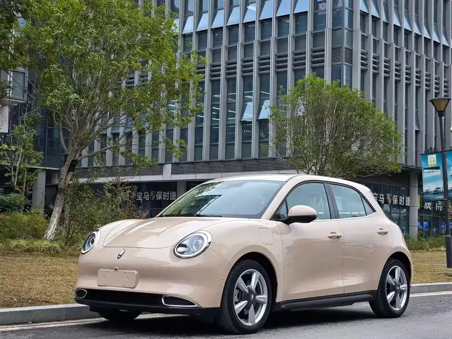 ORA Good Cat 2022 Электрический