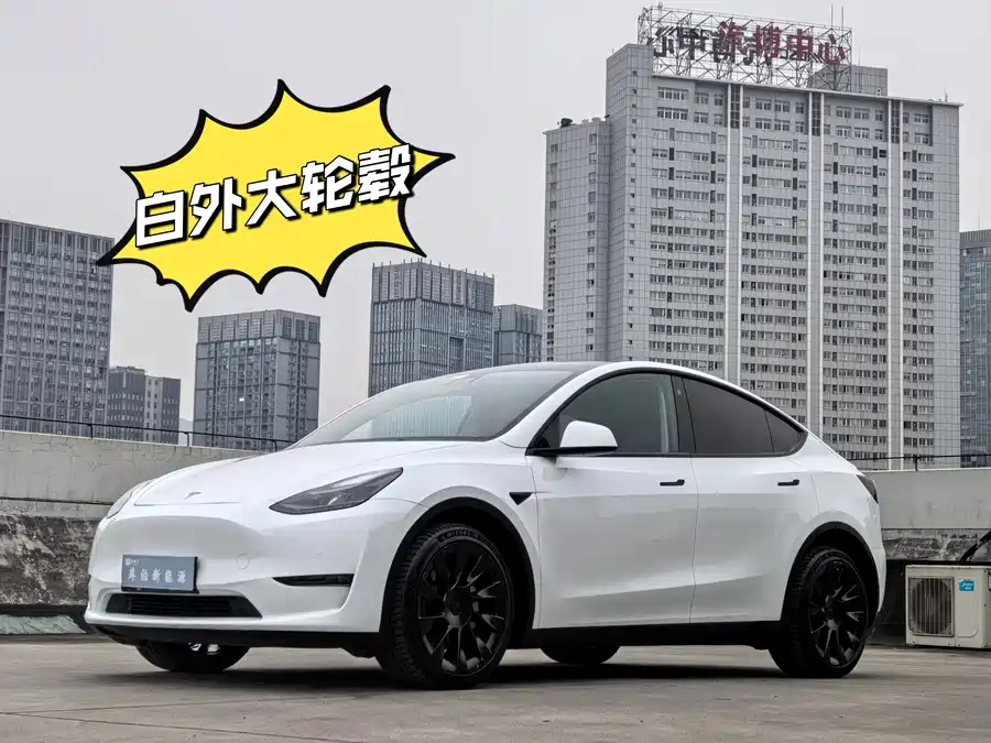 Tesla Model Y 2021 Электрический