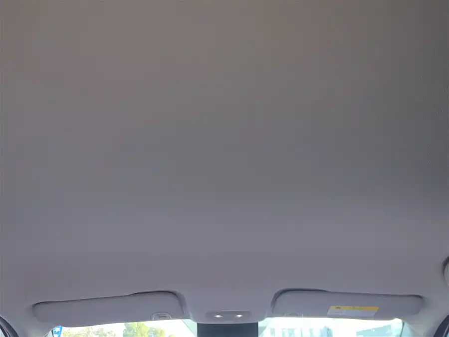 Neta V 2021 Электрический