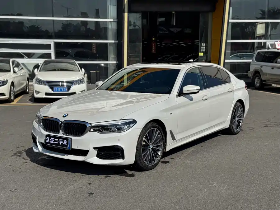 BMW 5 Series 2020 Бензин